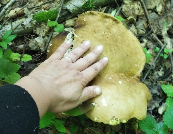 x7t5HDDAL08.jpg x7t5HDDAL08.jpg