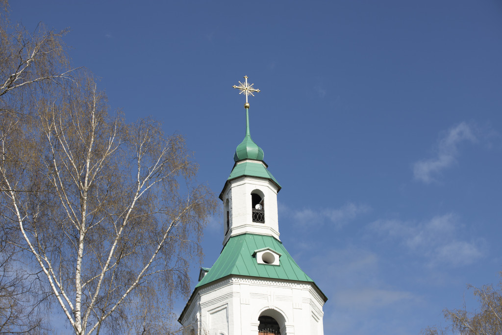 1 (21).jpg 1 (21).jpg