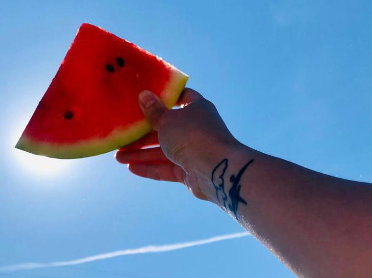 photo1661186474.jpeg photo1661186474.jpeg