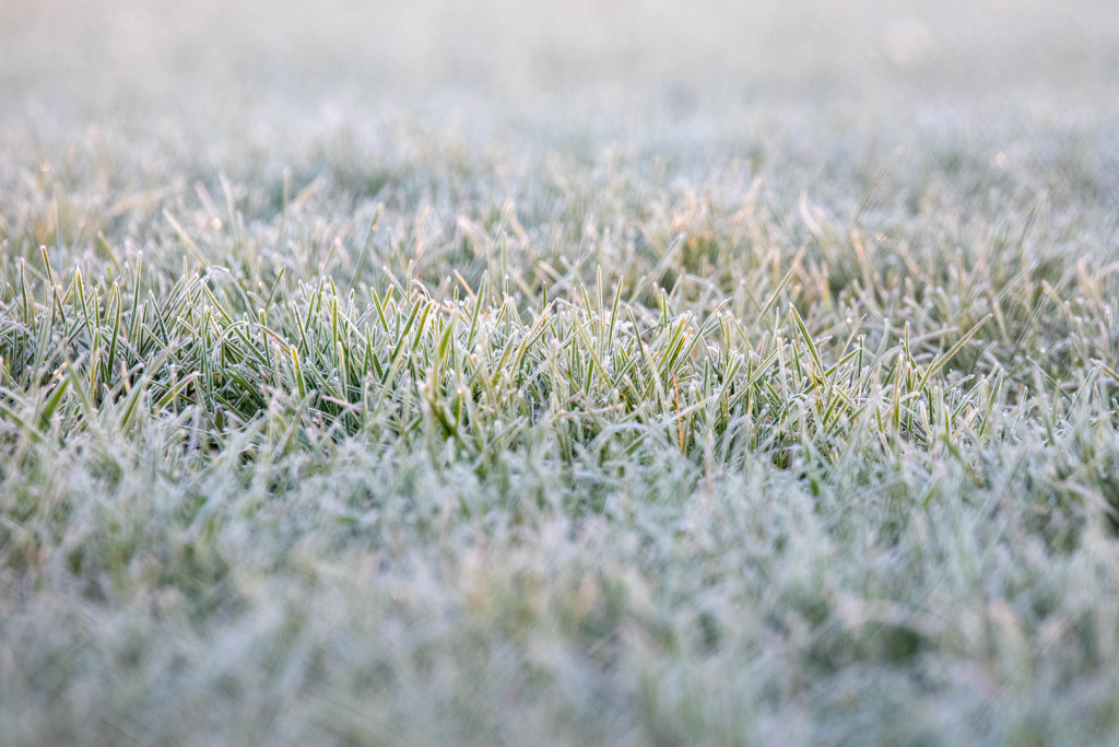 20211009-20211009-IMG_0443.jpg 20211009-20211009-IMG_0443.jpg