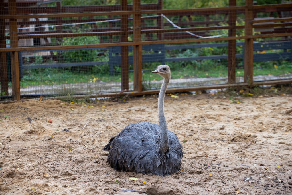 IMG_6313.jpg IMG_6313.jpg