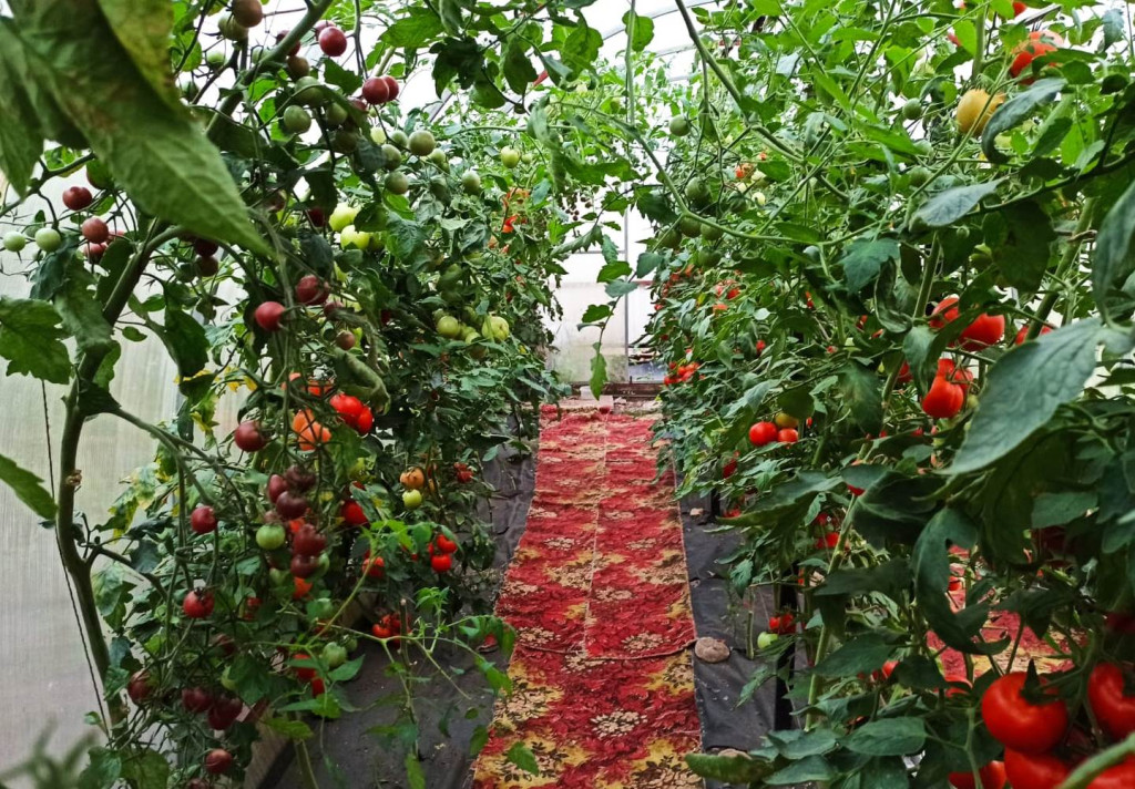 WhatsApp Image 2021-08-29 at 13.13.59 (2).jpeg WhatsApp Image 2021-08-29 at 13.13.59 (2).jpeg