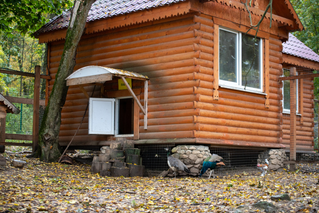 IMG_6379.jpg IMG_6379.jpg