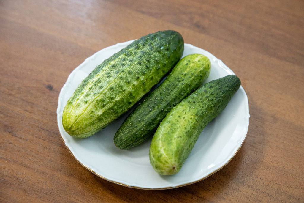 620A4366.jpg 620A4366.jpg