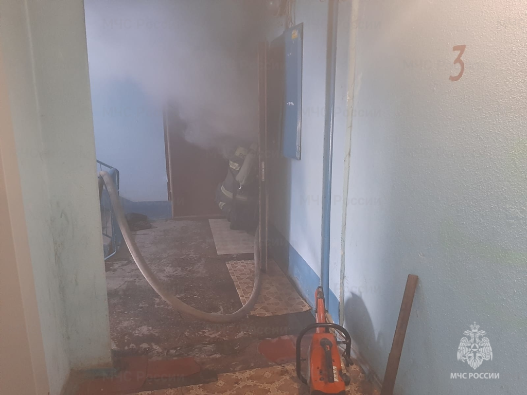 изображение_2023-02-10_130740158.png изображение_2023-02-10_130740158.png