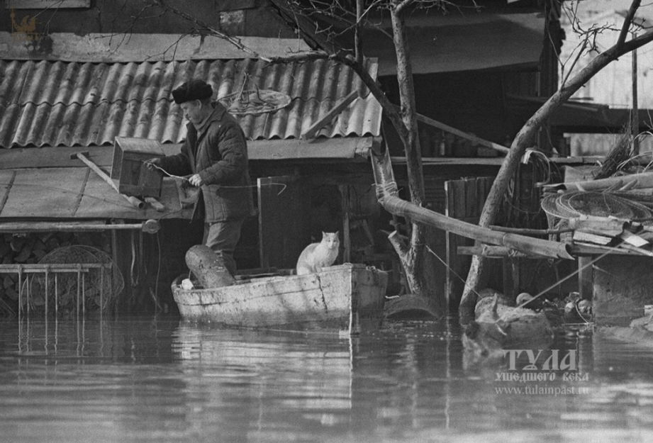 Мужчина спасает домашних животных в Мясново.png