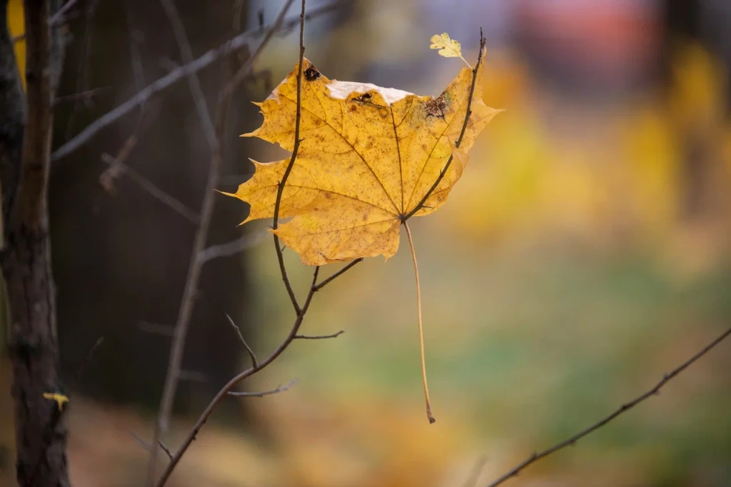 Календарь магнитных бурь октябрь 2023