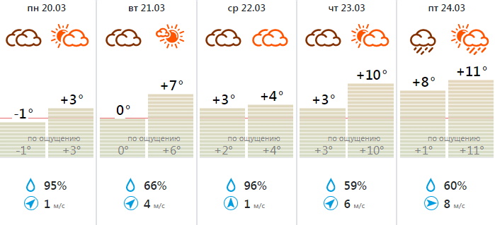 Апрельская погода в Тульской области ожидается на этой неделе / Тульская служба новостей