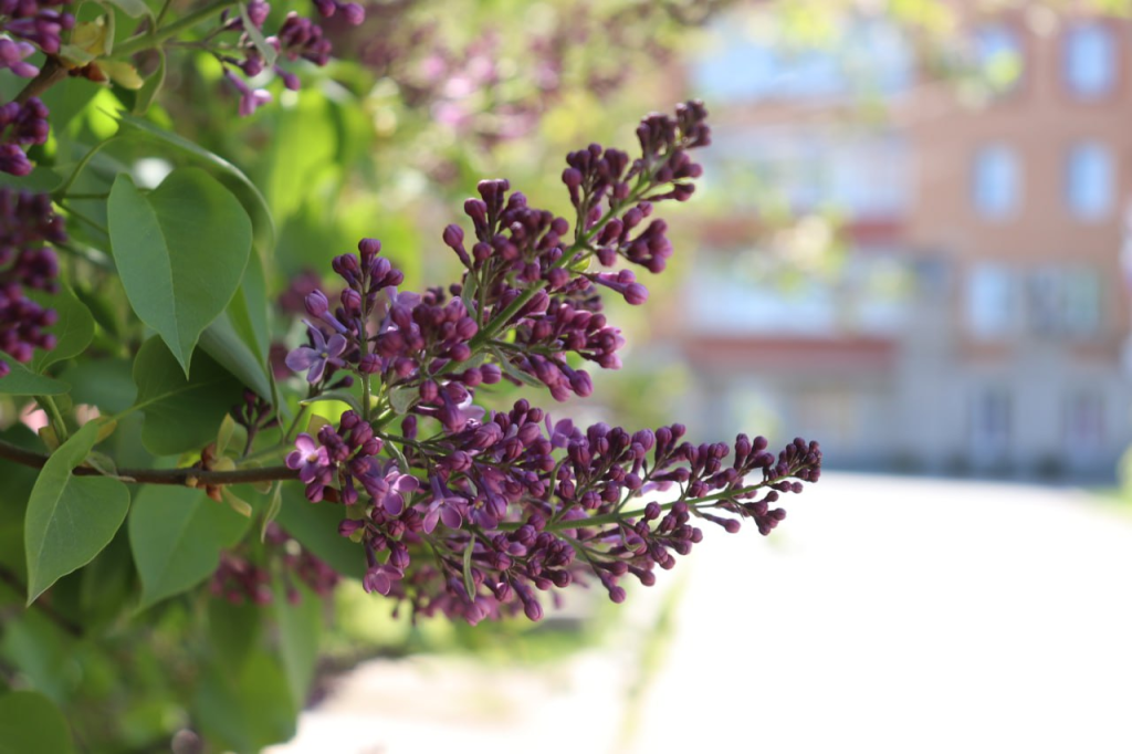 Фото: Тульская служба новостей