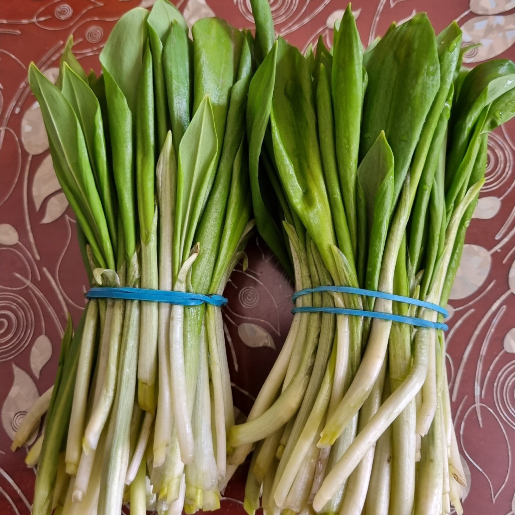 Сергей Карпов Черемша.jpg