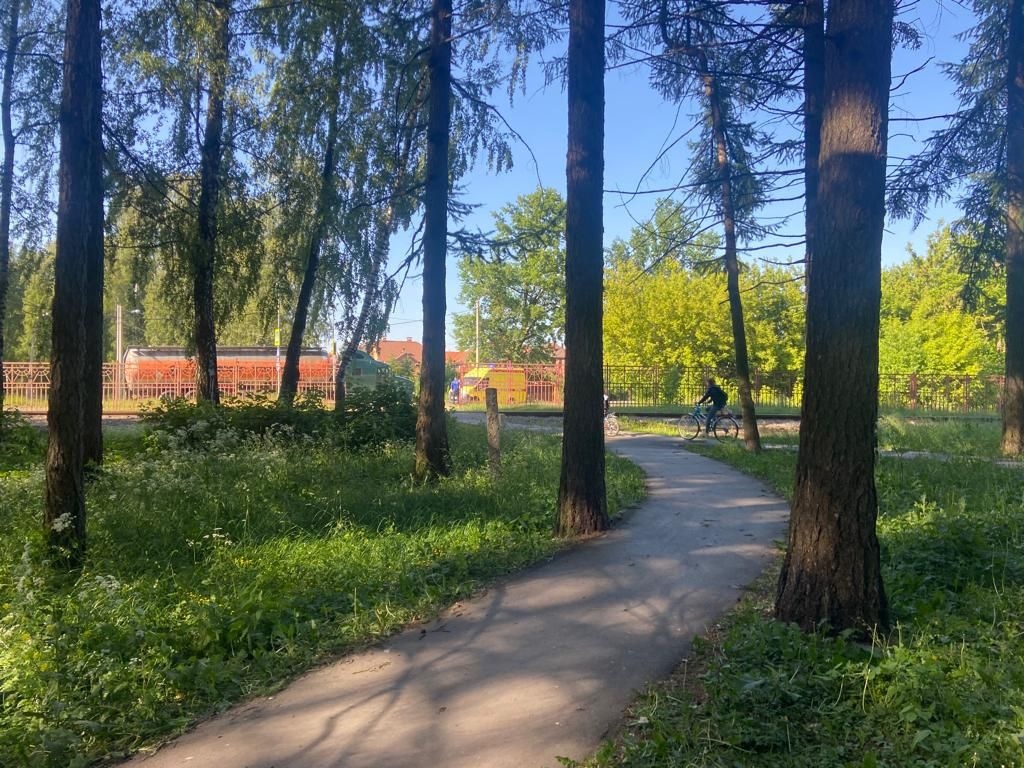 Новомосковцы утверждают, что таких деревьев полно не только в парках, но и по всему городу / «ЧП Новомосковск»
