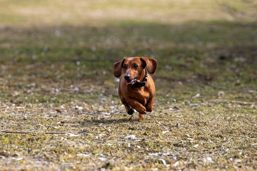 Фото: Тульская служба новостей 