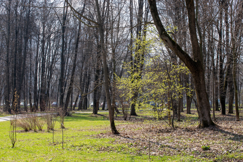 IMG_3327.jpg IMG_3327.jpg