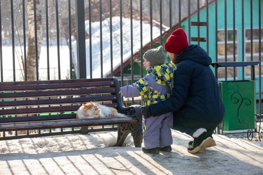 1 (73).jpg 1 (73).jpg