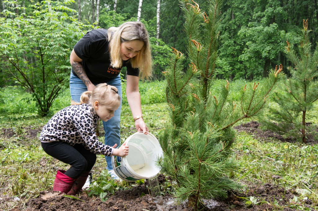 Фото: поисковый отряд "ЛизаАлерт" Тульской области