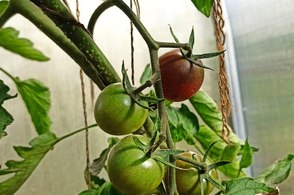 dCn5KDtzq3E.jpg dCn5KDtzq3E.jpg