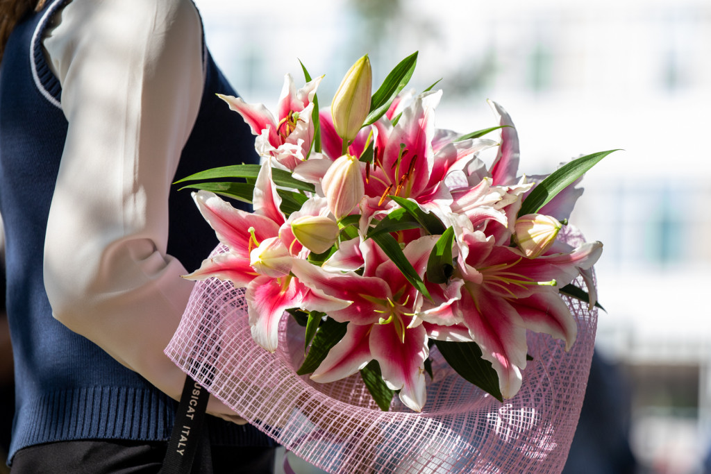 IMG_3903.jpg IMG_3903.jpg