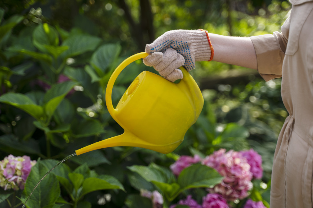 side-view-hand-holding-watering-can.jpg