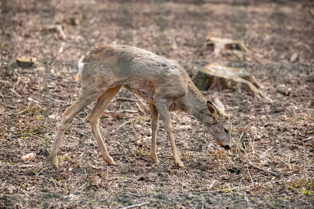 Болот и звезд мне нет места. Болота. Парень в болоте. Мертвое болото властелин колец. Болот и звезд мне нет места.