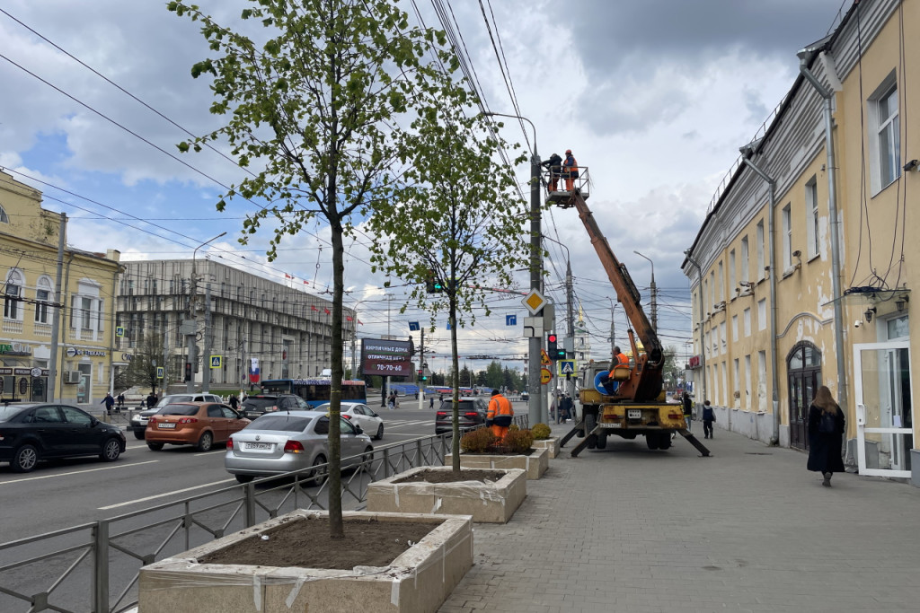 5 мая провода начали поднимать над деревьями / Тульская служба новостей