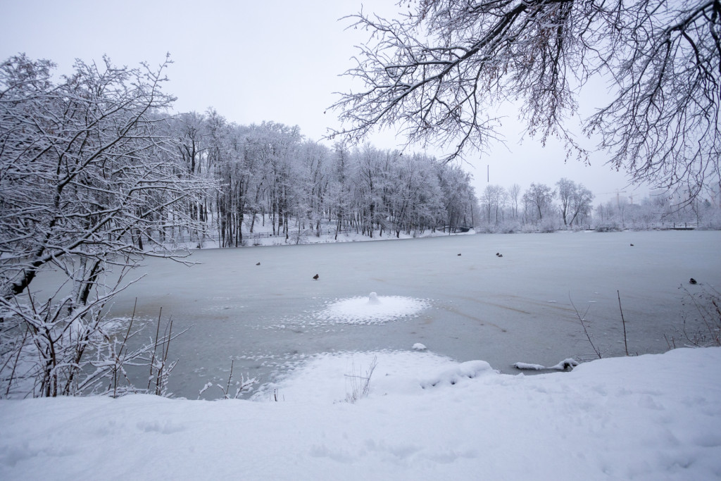 1 (58).jpg 1 (58).jpg