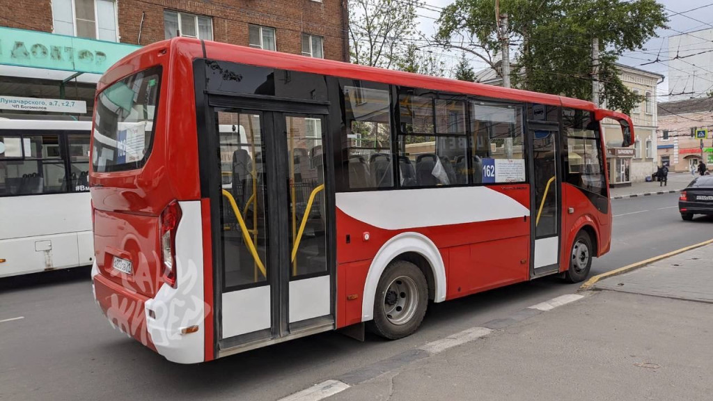 Первые частные автобусы в &quot;львином&quot; дизайне заметили в Туле