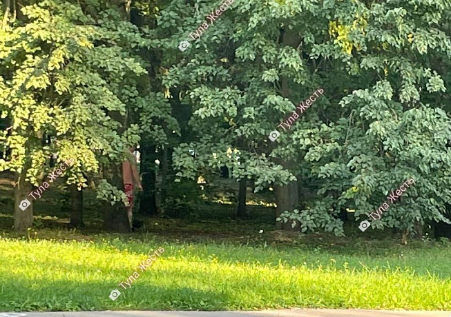 h8nbqg030ev5o4vninyuonzmceo0myyf.jpg h8nbqg030ev5o4vninyuonzmceo0myyf.jpg