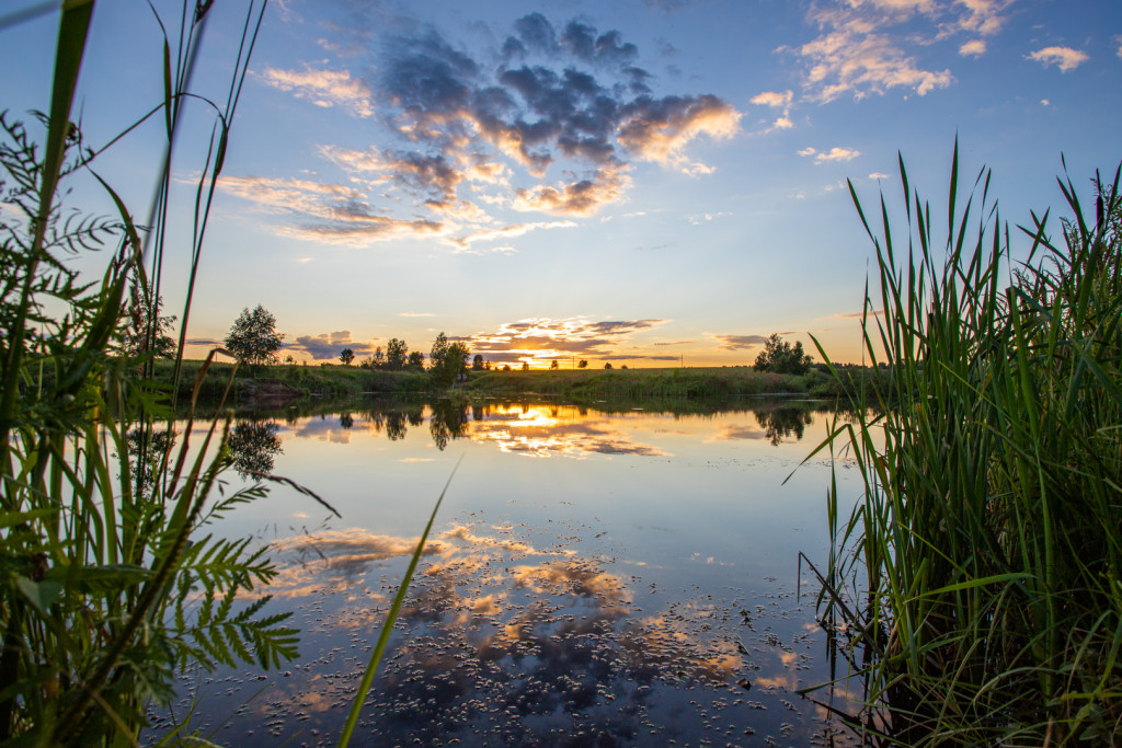 IMG_9062.jpg IMG_9062.jpg