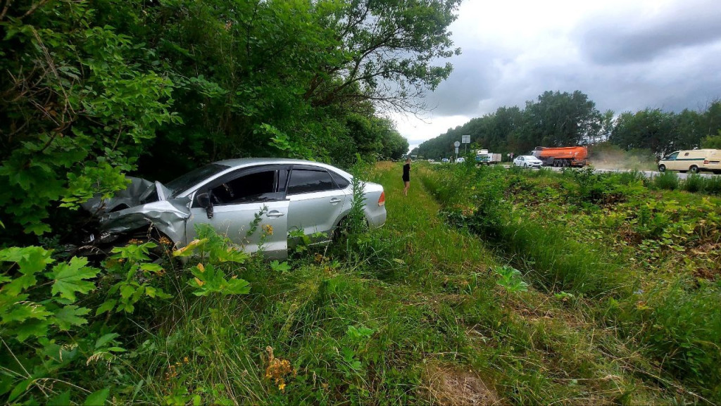 20дд.jpg 20дд.jpg