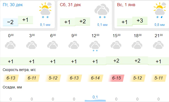 Тепло и без осадков: какая погода ожидается в новогоднюю ночь в Тульской области
