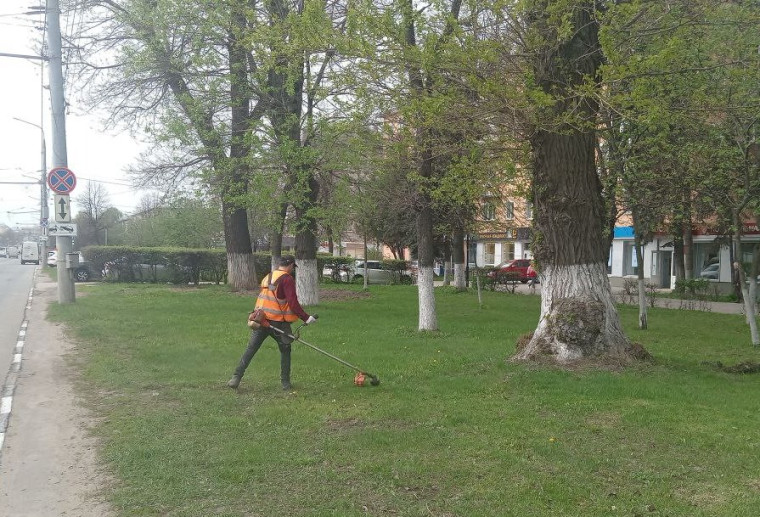 19д.jpg