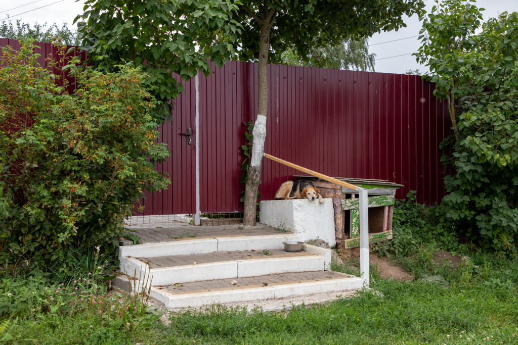 IMG_0016.jpg IMG_0016.jpg