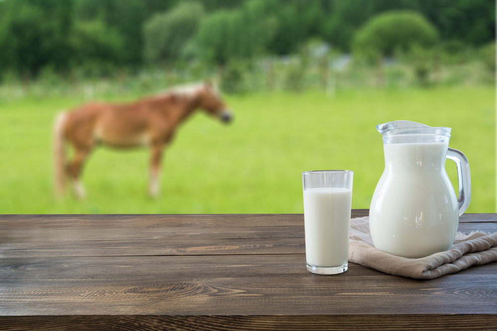Объем производства молока вырос на 15,2% / Photogenica / Svetlana_Cherruty