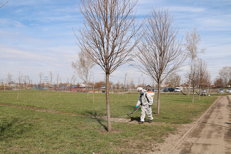 изображение_2023-04-17_182838106.png Фото: администрация Тулы