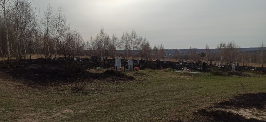 Могилы обгорели из-за пала травы на кладбище в поселке Дубна Тульской области