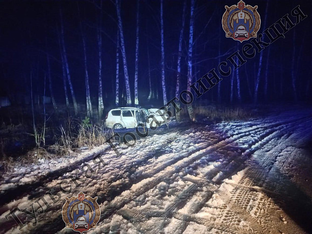 В Алексинском районе автомобиль Lada Priora слетел в кювет и врезался в дерево