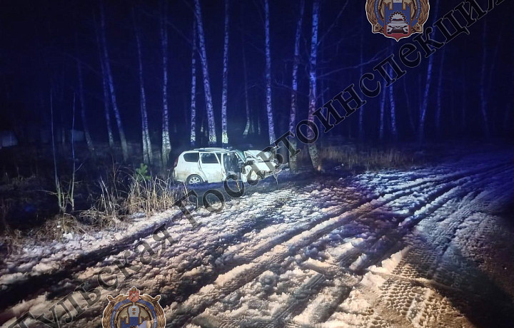 В Алексинском районе автомобиль Lada Priora слетел в кювет и врезался в дерево
