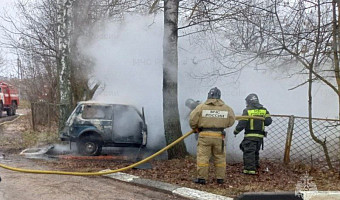 Легковой автомобиль сгорел в поселке Арсеньево