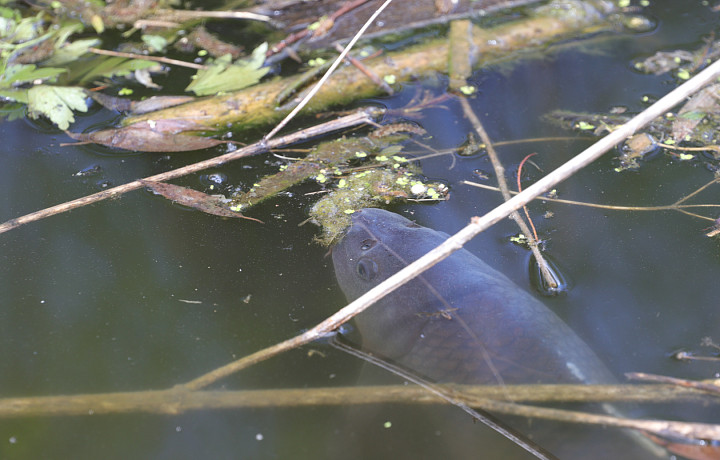 Закон о рыбалке в 2022 году: что можно и что нельзя делать рыбакам