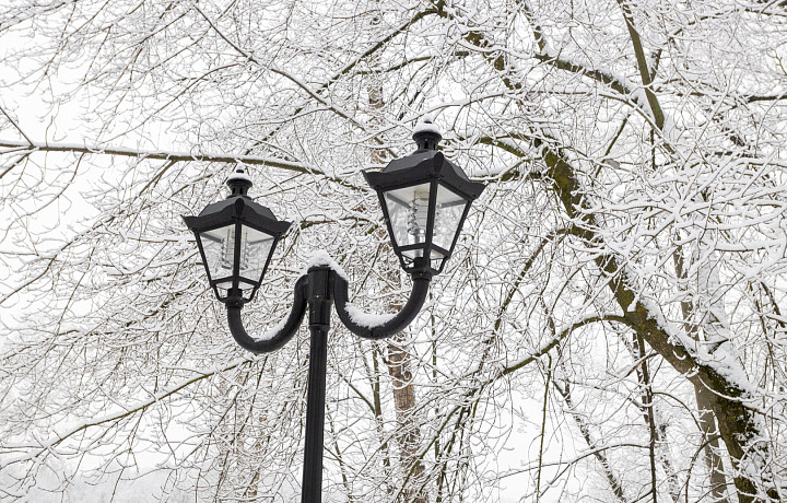 13 января в Туле будет пасмурно и -6 градусов мороза