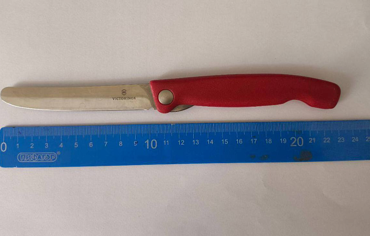 В Туле мужчина пытался пронести в здание суда два ножа и перцовый баллончик