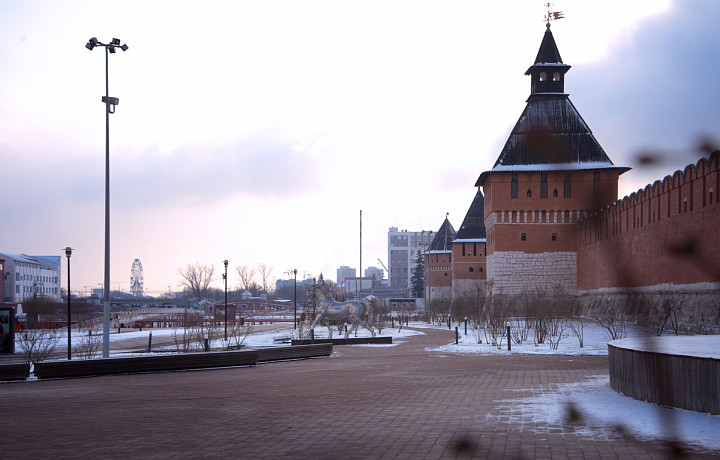 Надругательство над 9-летней девочкой и эвакуация жилых домов: что произошло в Тульской области в января 2026 года