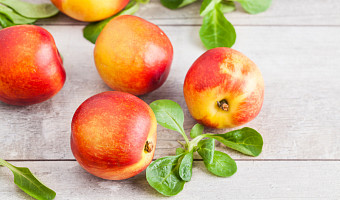 Нутрициолог Ибрагимов рассказал тулякам, как яблоки могут помочь защититься от рака