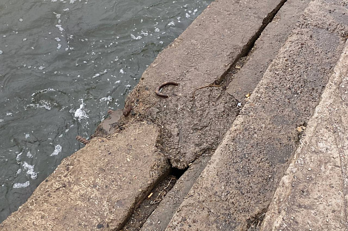 Туляки обратили внимание на неухоженное состояние Пролетарской набережной