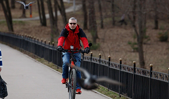 Туластат рассказал, как мужчины в регионе распределяют время в будний день
