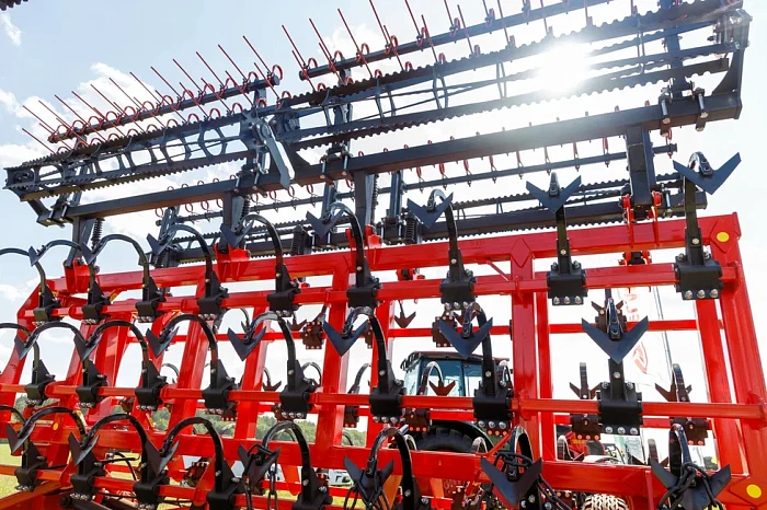 Аргентинцы, сладости и многокилометровая выставка: как проходит «День поля» в Тульской области