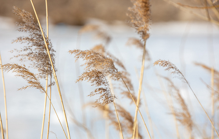 16 марта: какой праздник отмечают сегодня, этот день в истории России и Тулы