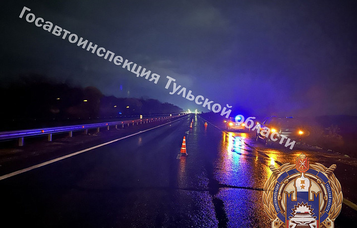 На трассе М-4 «Дон» в Ефремове насмерть сбили пешехода