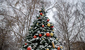 Тула в начале декабря – без снега, но украшена: не рано ли горожанам начинают дарить новогоднее настроение?