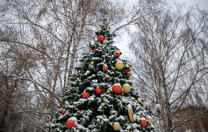 Тула в начале декабря – без снега, но украшена: не рано ли горожанам начинают дарить новогоднее настроение?
